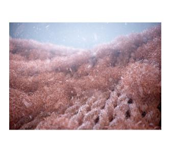 Фільтр для пральної машини Electrolux E9WHMIC1 - 5