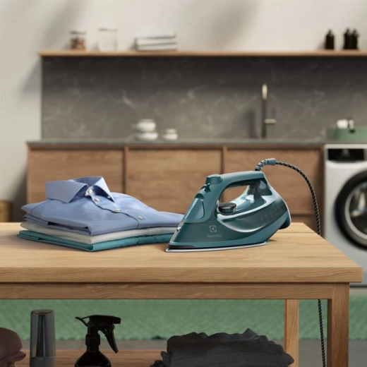 Праска з парою Electrolux E6SI1-6PG - 3
