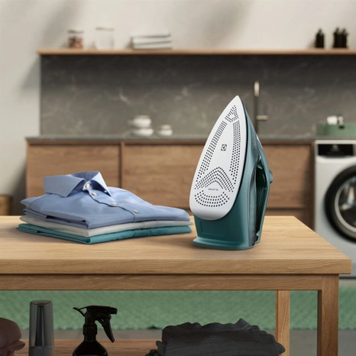 Праска з парою Electrolux E6SI1-6PG - 4