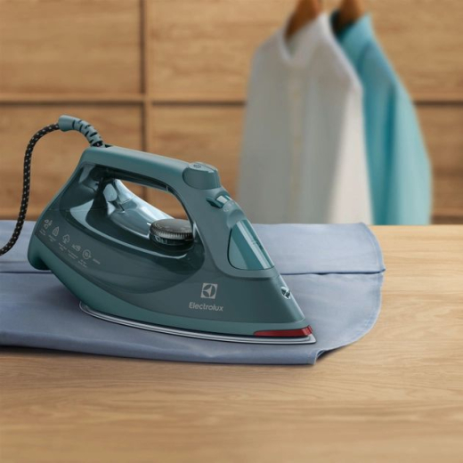 Праска з парою Electrolux E6SI1-6PG - 6