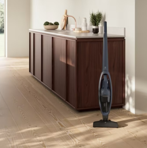 Пылесос Electrolux ES31CB18GG - 2