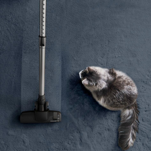 Пылесос безмешковый Rowenta Green Force Cyclonic RO7C66EA - 6