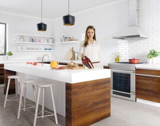 Ручний пилосос Electrolux ZB6106WR - 4