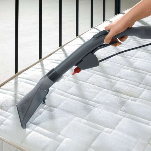 Миючий пилосос Thomas AQUA FleckWasher (788121) - 3