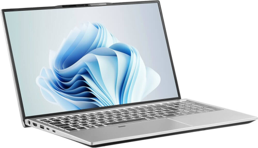 Ноутбук 2E Complex Pro 15 Silver (NS51PU-15UA33) - 2