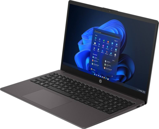 Ноутбук HP 255 G10 Dark Ash Silver (AL0B7AT) - 3