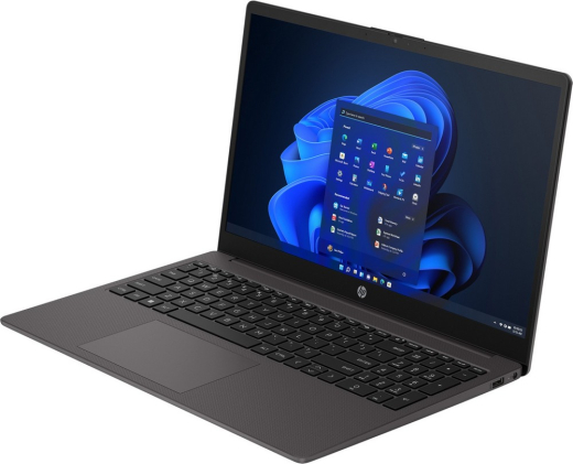 Ноутбук HP 255 G10 Dark Ash Silver (8D4N0ES) - 2