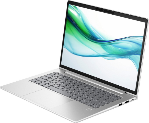 Ноутбук HP ProBook 445 G11 Pike Silver (AD0T4ET) - 3