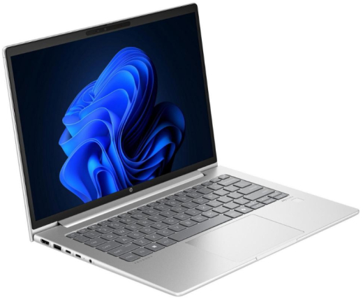 Ноутбук HP ProBook 445 G11 Pike Silver (AD0T5ET) - 2