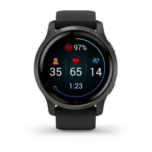 Смарт-часы Garmin Venu 2 (010-02430-11/01) - 2