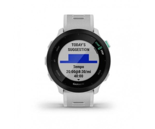 Спортивные часы Garmin Forerunner 55 (010-02562-11) - 2