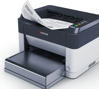 Принтер Kyocera FS-1061DN (1102M33NL0) - 2