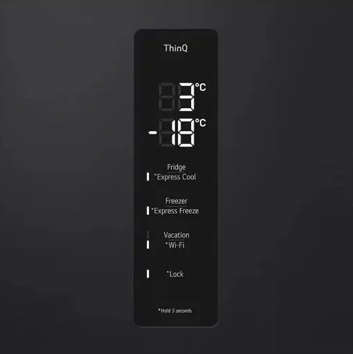 Холодильник с морозильной камерой LG GBV5250EEP - 8