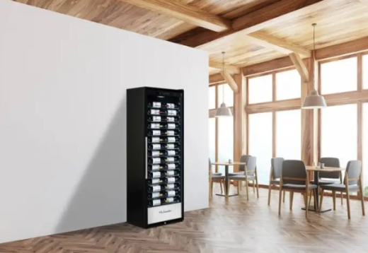 Холодильник La Sommeliere PRO160N - 8