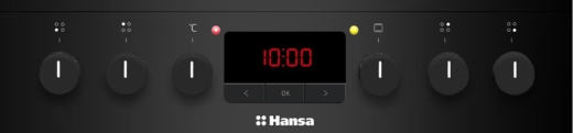 Электрическая плита Hansa FCCM58209H - 2