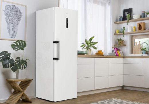 Холодильник Gorenje R619EAW6 - 4