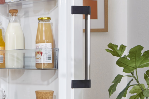 Холодильник Gorenje R619EAW6 - 6