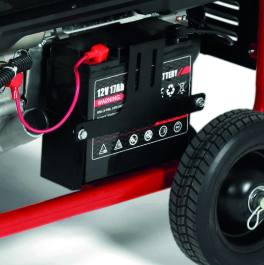 Бензиновий генератор Einhell TC-PG 8000 (4152640) - 2