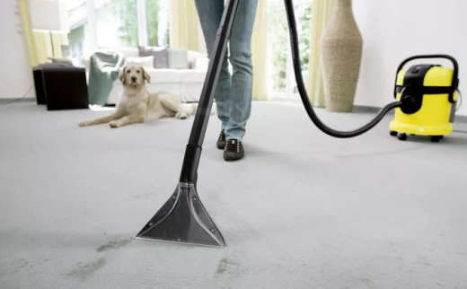 Насадка для м'яких меблів для пилососів SE Karcher 2.885-018.0 - 2