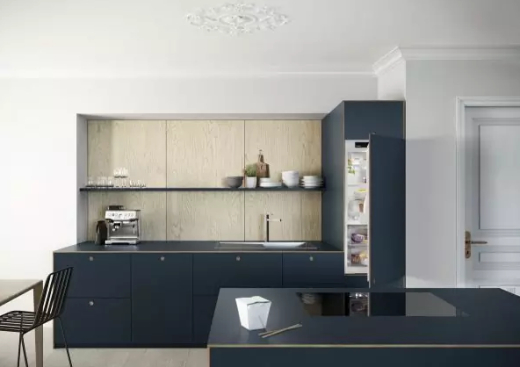 Встраиваемый холодильник Liebherr IRBd 4120 - 3