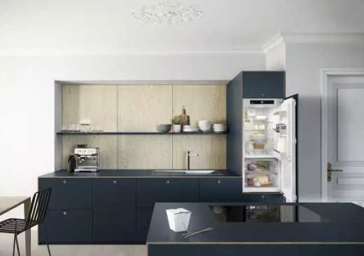 Встраиваемый холодильник Liebherr IRBd 4120 - 4