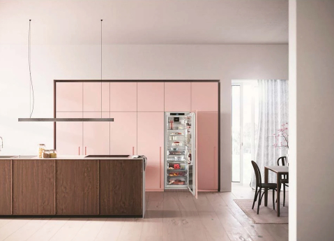 Встраиваемый холодильник с морозильной камерой Liebherr IRBdi 5171 - 4