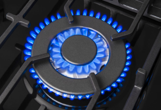 Варочная поверхность газовая Hansa BHKW611301 - 6