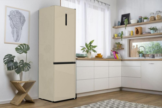 Холодильник Gorenje NRK6202AC4 - 14