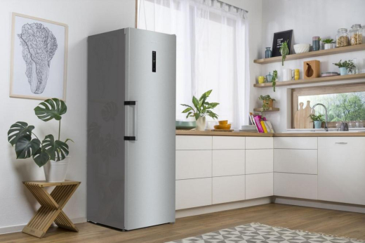 Холодильник Gorenje R619EAXL6 - 21