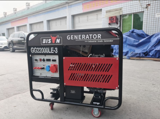 Бензиновый генератор Bison GG22000LE-3 (2001283) - 1