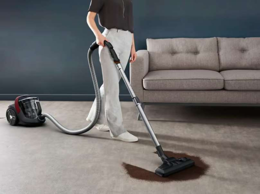 Пилосос безмішковий Rowenta Green Force Cyclonic Max RO7B13EA - 6