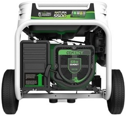 Генератор газобензиновий Genergy Natura 5000 5.5/5кВт (240026090) - 4