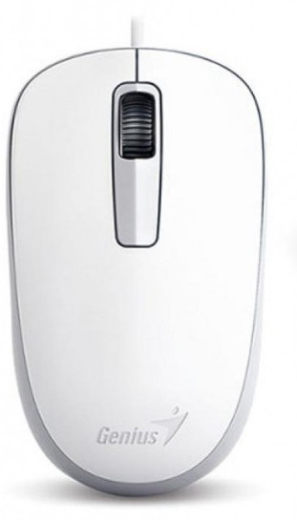 Мышь Genius DX-125 White (31010106102) - 1