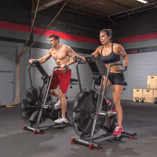Велотренажер SCHWINN AIRDYNE AD8 - 2