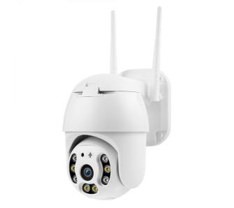 IP-камера Redleaf IP Cam 1000 - 1