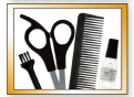 Moser WAHL HomePro 09243-2216 - 7
