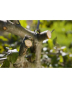 Секатор з храповим механізмом Gardena SmartCut до 25 мм (08798-20) - 4