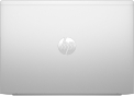 Ноутбук HP ProBook 445 G11 Pike Silver (AD0U1ET) - 5