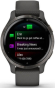 Спортивные часы Garmin Venu (010-02173-01/03) - 2