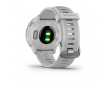 Спортивные часы Garmin Forerunner 55 (010-02562-11) - 4