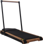 Бігова доріжка електрична Master Wood F-05 - 1