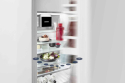 Встраиваемый холодильник Liebherr IRBAc 5190 617 Peak - 4