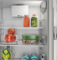 Холодильник з морозильною камерою Whirlpool WHC20D011B1 - 5