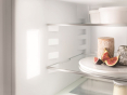 Холодильник с морозильной камерой Liebherr ICe 5103 - 5