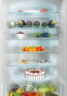Вбудований холодильник з морозильною камерою Candy Fresco CBT7719FW  - 7