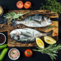 Електрогриль притискний Gastroback BBQ PRO 42537 - 9