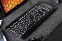 Клавиатура 2E KS120 White backlight USB Black (2E-KS120UB) - 7