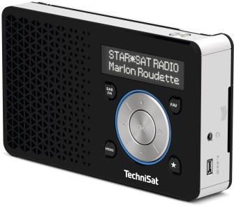 Радио TechniSat DigitRadio 1 (черный / серебристый) - 3