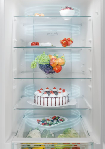 Холодильник Candy CCE4T620EW - 6