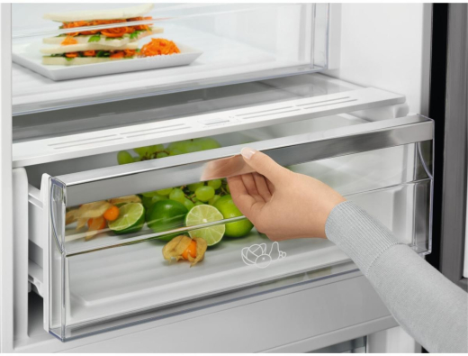 Холодильник з морозильною камерою Electrolux LNT7ME32M2 - 11